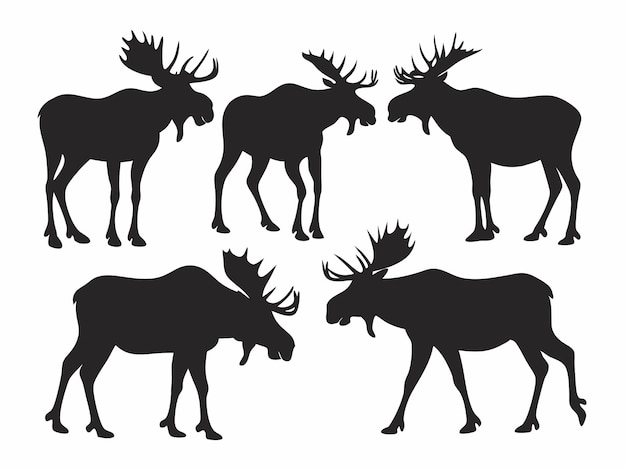 Satz von Elch-Silhouetten in verschiedenen Posen Wildtier-Vektor-Sammlung
