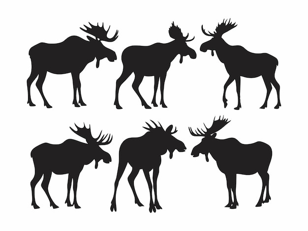 Satz von Elch-Silhouetten in verschiedenen Posen Wildtier-Vektor-Sammlung