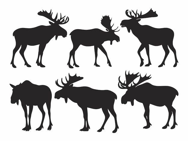 Satz von Elch-Silhouetten in verschiedenen Posen Wildtier-Vektor-Sammlung