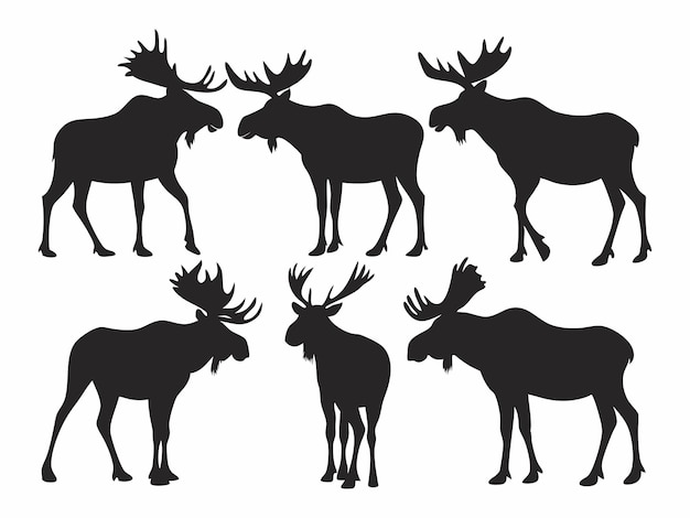Satz von Elch-Silhouetten in verschiedenen Posen Wildtier-Vektor-Sammlung