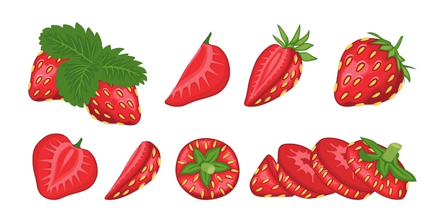 Satz von erdbeeren fruchtbeere vektor-illustration im cartoon-stil gesunde ernährung bio-lebensmittel vegetarisches produkt