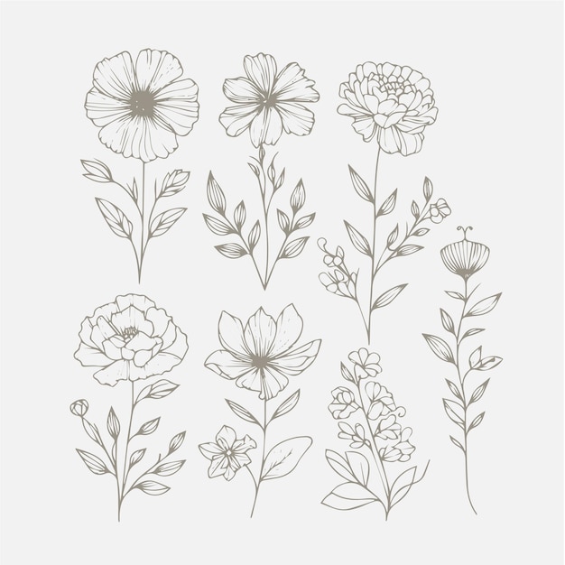 Satz von handgezeichneten Blumen mit Vektorelementen Blumendesign-Elemente können für Karten, Einladungen und Banner verwendet werden.