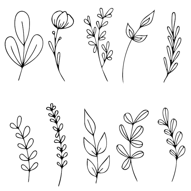 Vektor satz von handgezeichneten doodle-vektorblättern und -zweigen florale pflanzenelemente