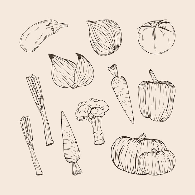 Vektor satz von handgezeichneten gemüse-illustrationen