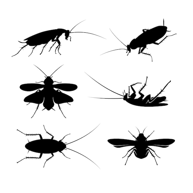 Satz von Kakerlaken-Silhouetten-Illustrationsvektoren