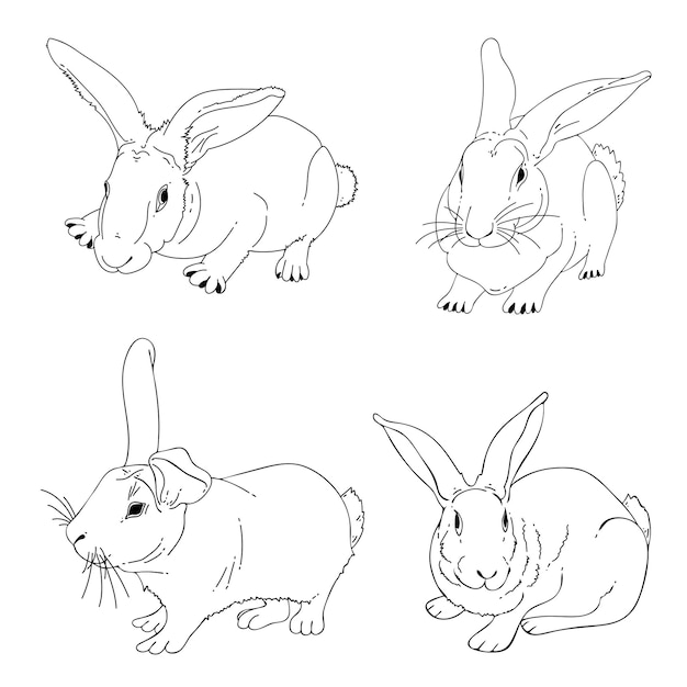 Satz von kaninchen strichzeichnungen nutztier hase hase handgezeichnete skizze illustration