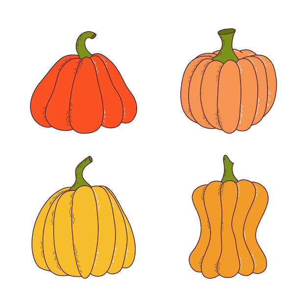 Satz von Kürbis in verschiedenen Formen und Farben Thanksgiving und Halloween-Elemente