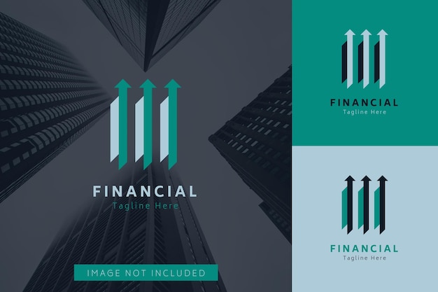 Satz von Logo-Vektor-Designvorlagen für die Finanzbuchhaltung mit unterschiedlichem Farbstil