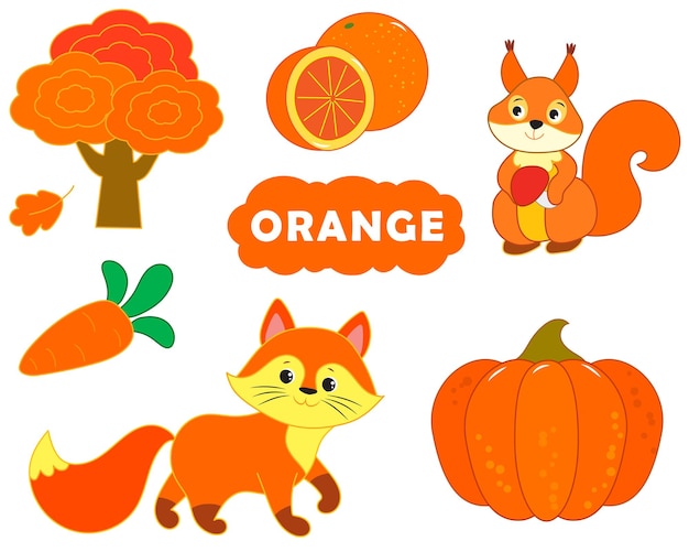 Satz von orangefarbenen Elementen Visuelles Wörterbuch für Kinder über Primärfarben-Vektorillustration