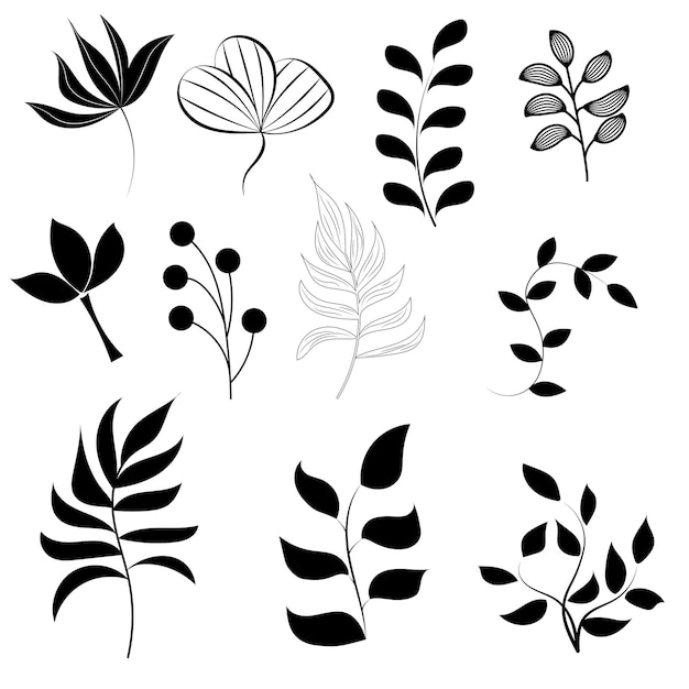 Satz von Silhouetten von Blättern und Graszweigen für Design schwarze Konturen isoliert auf weißem Hintergrund Flache Vektordarstellung isoliert auf weißem Hintergrund