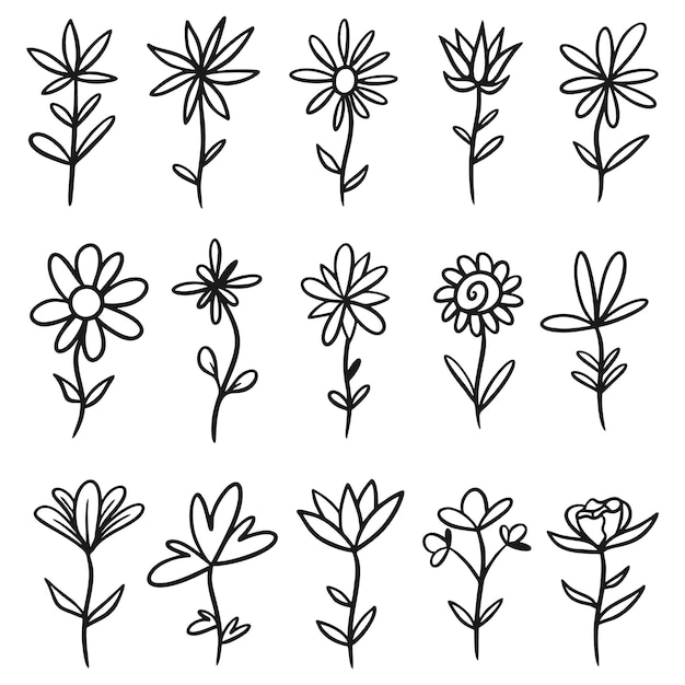 Satz von skizzen und strichzeichnungen handgezeichnete florale designelemente, wildblumen, handgezeichnete pflanzen