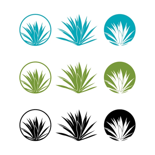 Satz von sukkulenten, agave-pflanze-logo-symbol-vektor-illustration