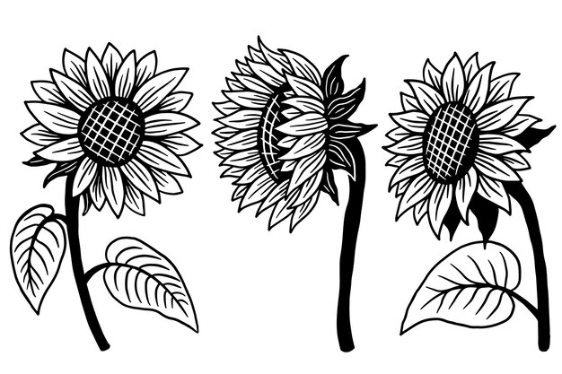 Satz von sun flower isoliert dekorative schöne handgezeichnete illustration