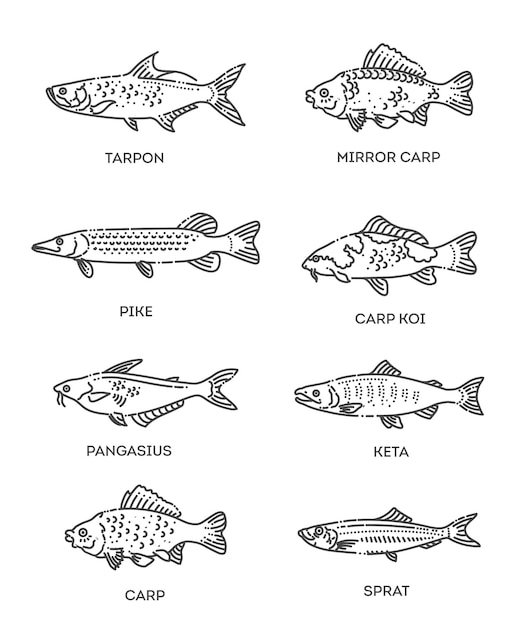 Vektor satz von vektor-gliederungs-fischsymbolen vektor-flachsammlung