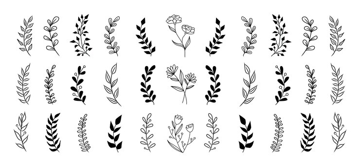 Satz von Vektor-Vintage-Blumenelementen.