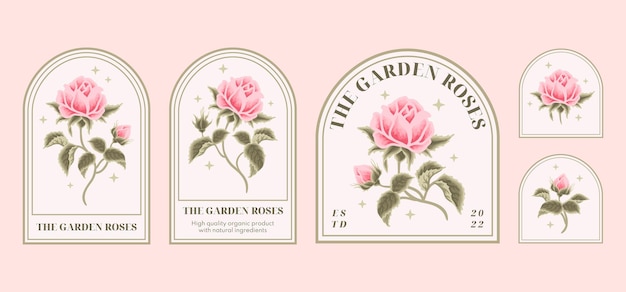 Satz von vintage femininen schönheitsrosa rosenblumenlogo und etikettenelementen mit blattzweig und rahmen