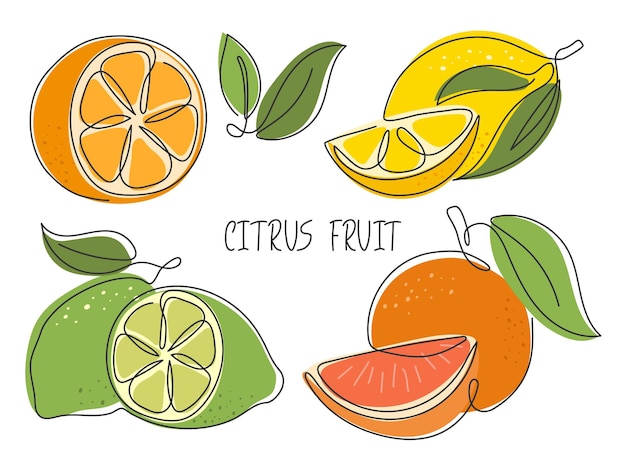 Satz von Zitrusfrüchten, die auf weißer Zitrone, Limette, Orange, Grapefruit, ganzen und geschnittenen Scheiben isoliert wurden