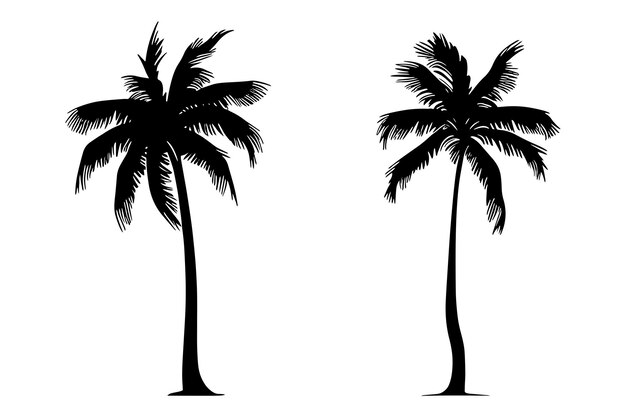 Satz von zwei Palmen-Silhouetten Vektor-Illustration