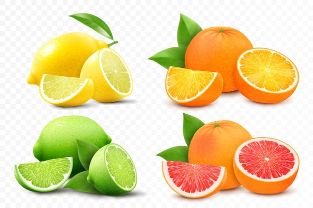 Satz Zitrus Zitrone Mandarine Limette Orange Grapefruit ganz halbiert und in Scheiben geschnitten Frische saure Zitrusfrüchte mit Vitaminen Realistische 3D-Vektordarstellung isoliert auf weißem Hintergrund