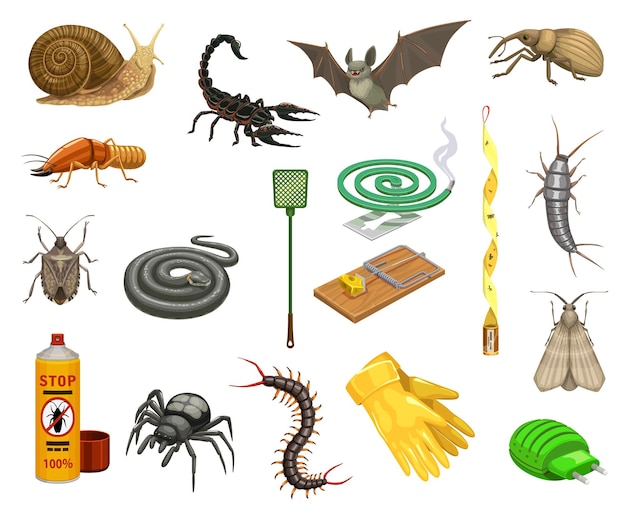 Vektor schädlingsinsekten wanzen tiere und insektizide