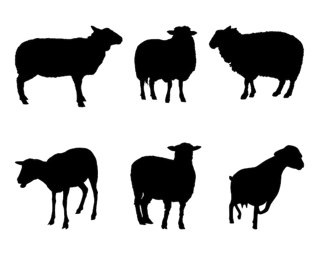 Schaf-Silhouette-Set-Sammlung isoliert schwarz auf weißem Hintergrund, Vektorillustration