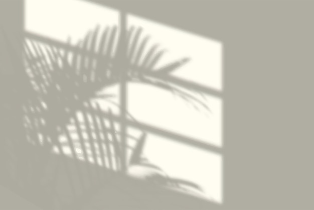 Schatten an der Wand im Zimmer vom Fenster mit Palme