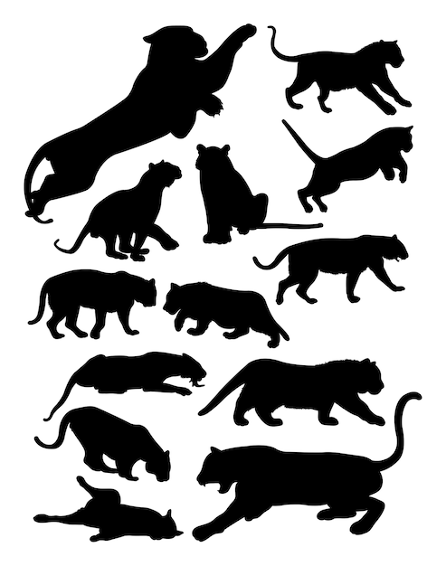 Schattenbild des Tigers