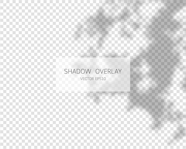 Schattenüberlagerungseffekt Natürliche Schatten isoliert auf transparentem Hintergrund Vektorillustration