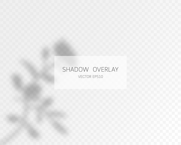 Schattenüberlagerungseffekt. Natürliche Schatten lokalisiert auf transparentem Hintergrund.