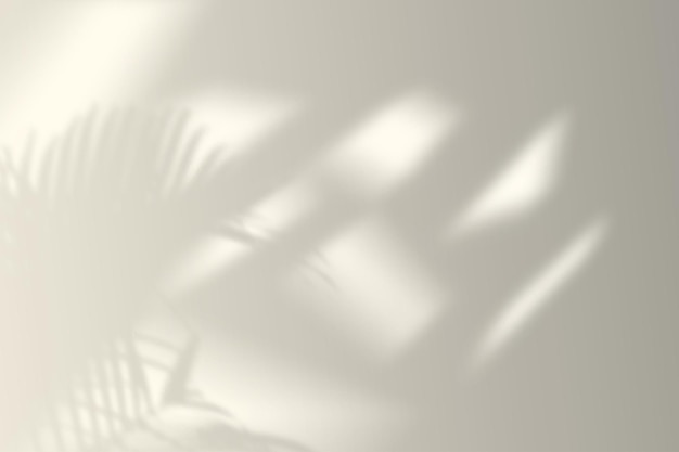 Schattenüberlagerungseffekt Schatten an der Wand im Raum vom Fenster weiches Licht und Schatten von Ästen