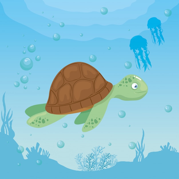Schildkröte und leben marine im ozean, meeresweltbewohner, niedliche unterwasserlebewesen, unterwasserfauna