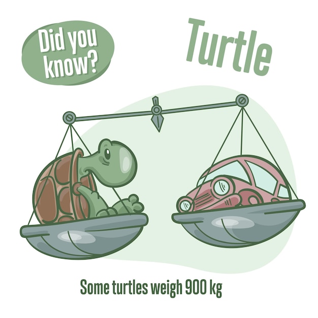 Schildkröte Wissenswertes über Schildkröten Wussten Sie schon