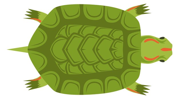 Vektor schildkröten-cartoon-ikone grünes meereswildtier