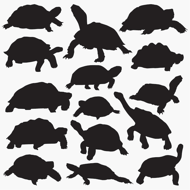 Schildkröten-Silhouetten