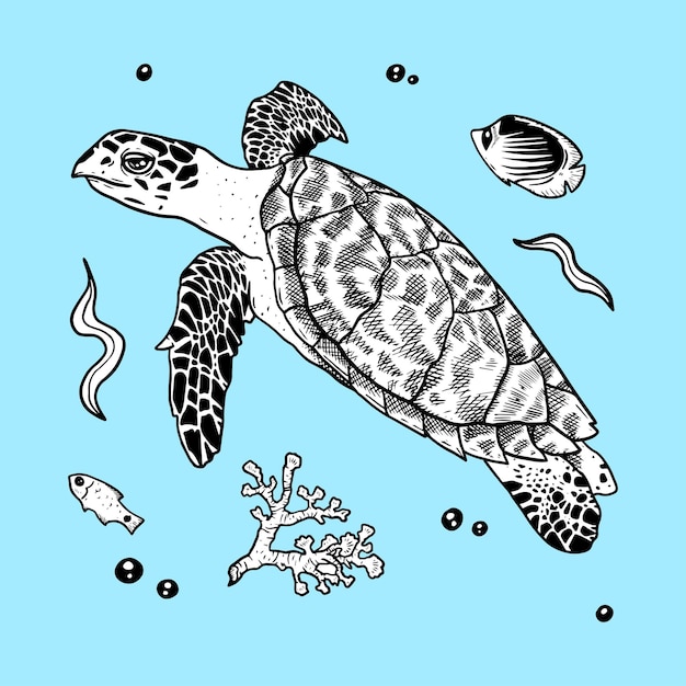 Schildkröten- und fischhandzeichnungs-schwarzweiss-illustration