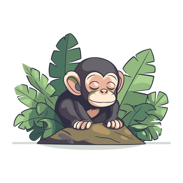 Vektor schimpanse sitzt auf dem felsen mit tropischen blättern vektor-illustration