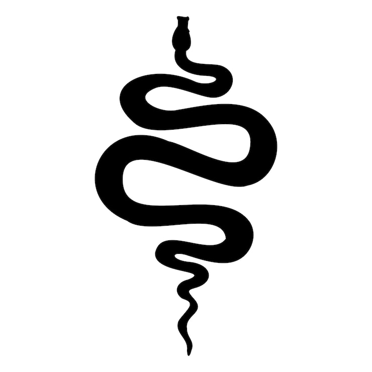 Vektor schlangenvektor-illustration silhouette einer giftigen schlange gravur einer okkulten schlange, gemalt mit schwarzer tinte, geätzte zeichnung eines pythons, kunst eines giftigen tieres, einer kobra oder einer anakonda.