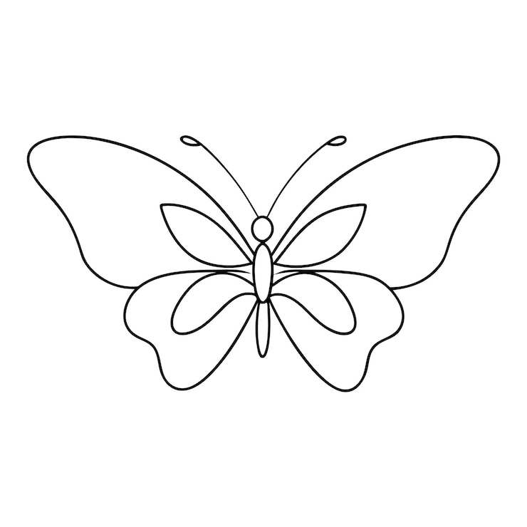 Vektor schmetterling als strichzeichnung – ausmalvorlage