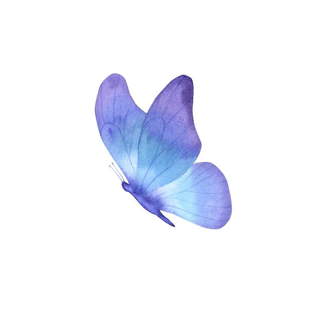 Schmetterling Aquarell Aquarell Posterdruck Malerei Kunst Zimmer Dekor Wandgestaltung abstrakt