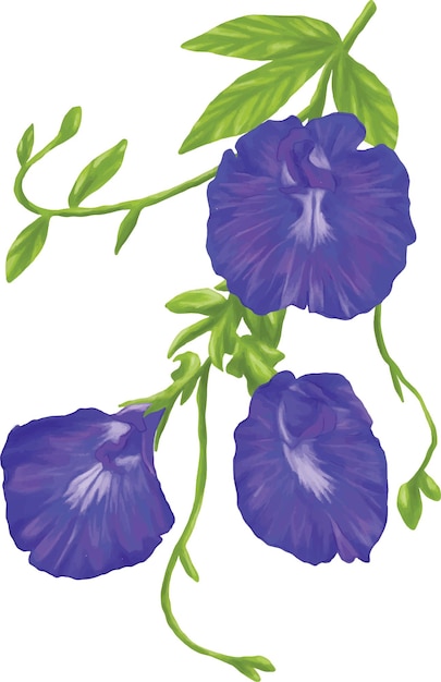 Schmetterling Erbsen Tee Blütenmuster Illustration