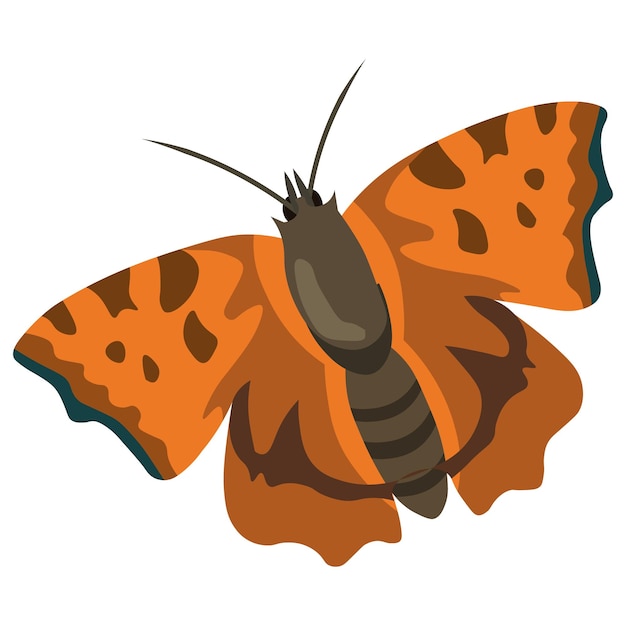 Schmetterling, insektensymbol. abbildung, vektor