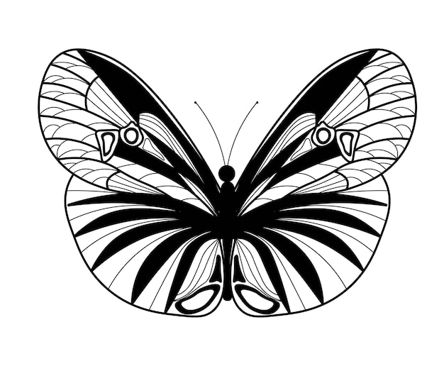 Schmetterling malbuch lineare zeichnung eines schmetterlings