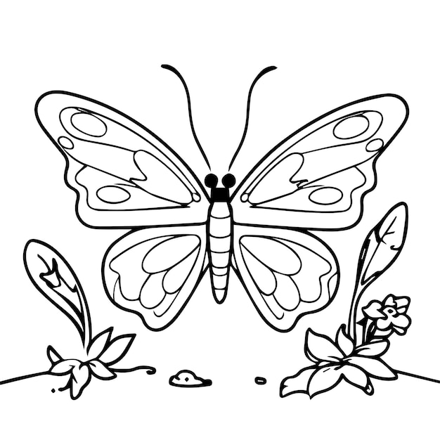 Vektor schmetterling malseite für kinderbuch illustration