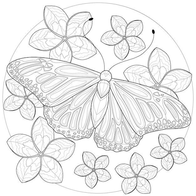 Schmetterling mit blumen herum.malbuch antistress für kinder und erwachsene. schwarz-weiß-zeichnung. zen-tangle-stil.