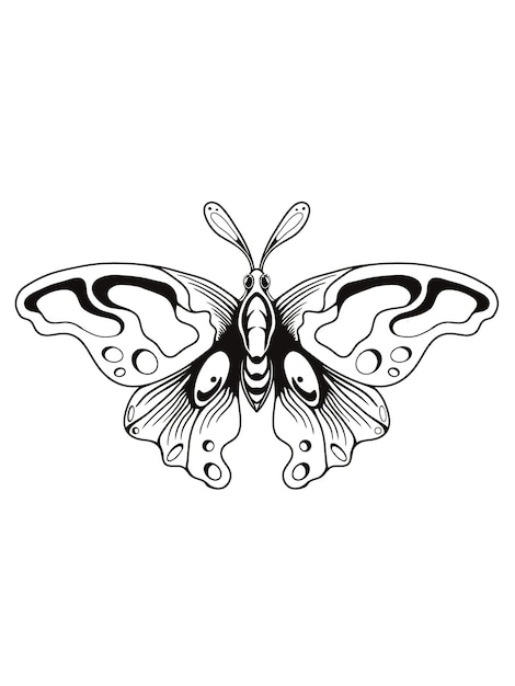 Schmetterling-silhouette-vektor-design