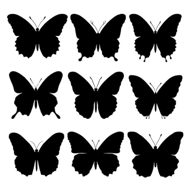 Schmetterling