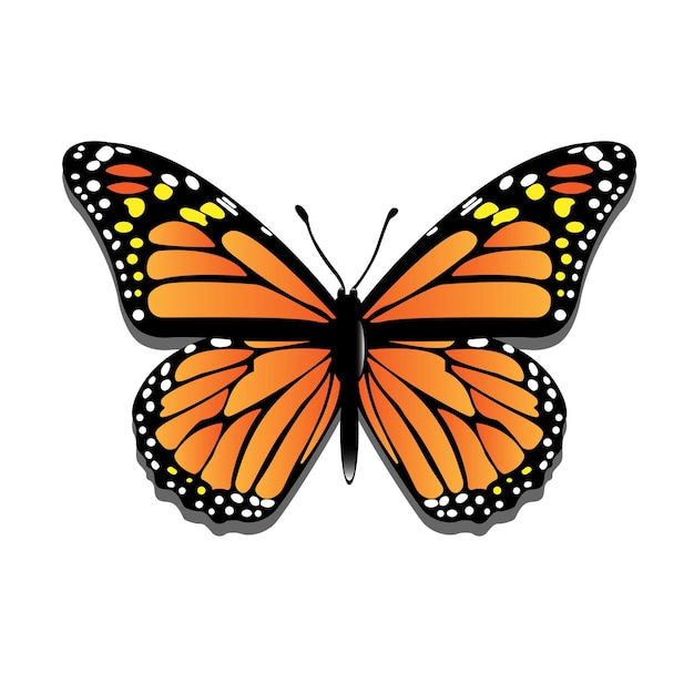 Schmetterling