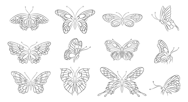 Schmetterlinge linie silhouetten frühlingsschmetterling abstrakte gliederung tattoo schablone sommer insekten schönheit dekorative fliegende charaktere mit flügeln heutzutage vektorset