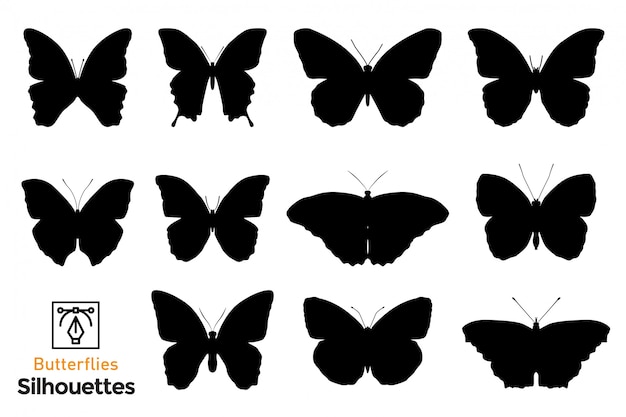 Schmetterlinge silhouetten packen.