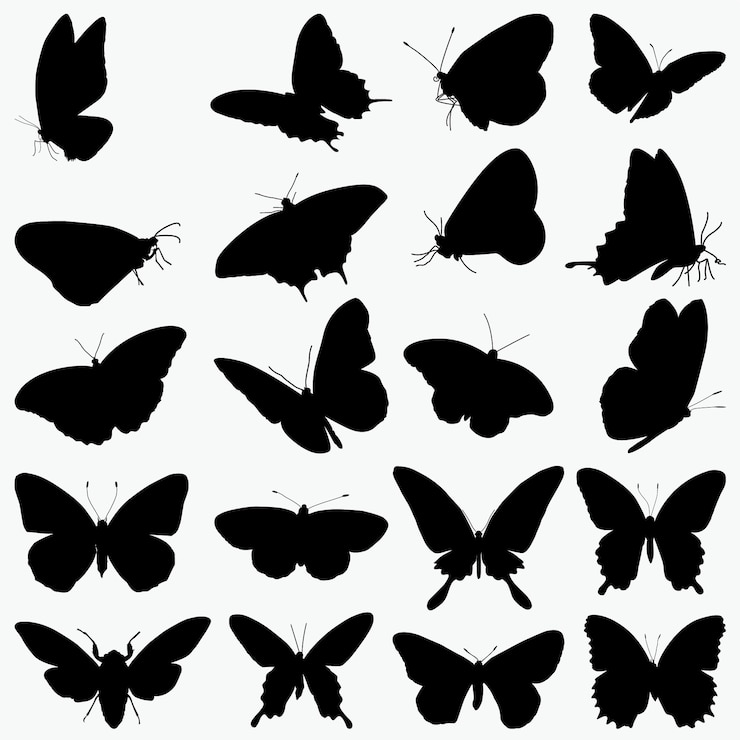 Vektor schmetterlinge silhouetten